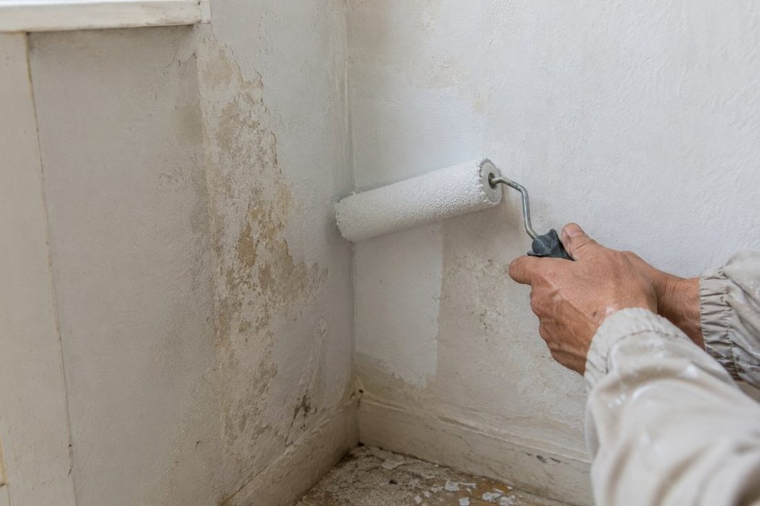 Aplicación de imprimación antihumedad con rodillo sobre una pared en Cambrils